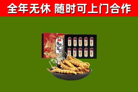 新和烟酒回收冬虫夏草礼盒.jpg